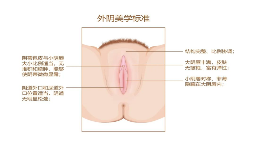 640.png 640.png