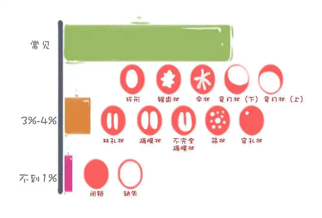 640 (3).png